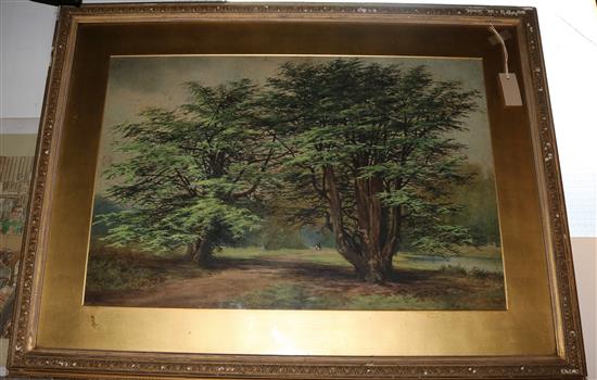 Victorian School, watercolour, wooded parkland scene with two figures on a path, framed(-)
